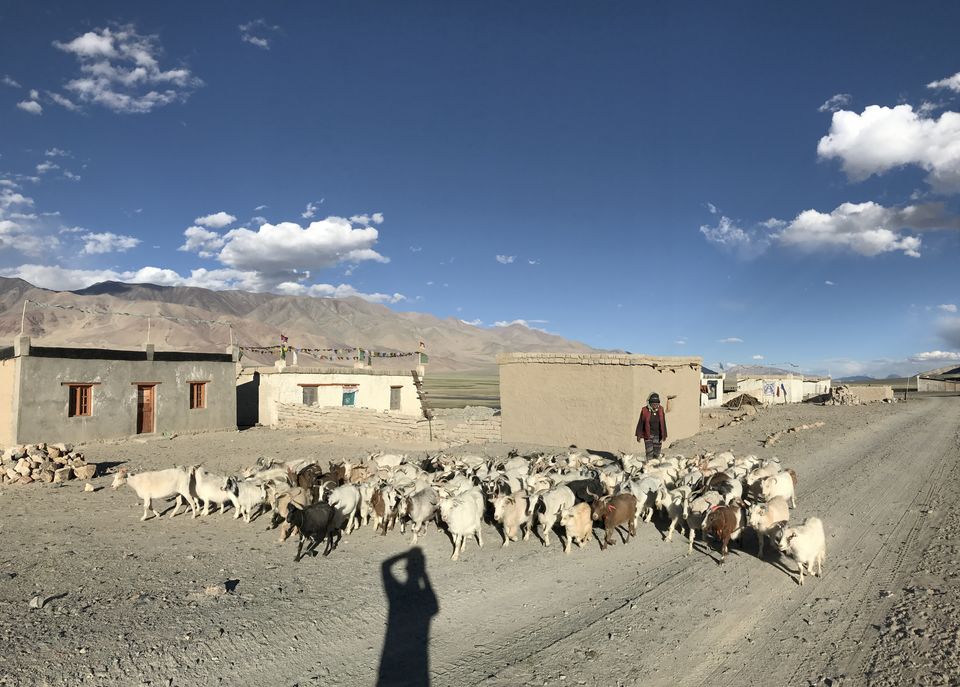 Photo of The Hidden Gems of Ladakh (Jangthang: The Northern Plains) by Lost