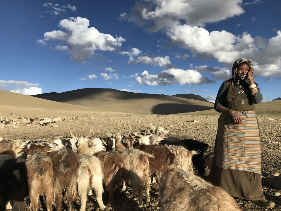 Photo of The Hidden Gems of Ladakh (Jangthang: The Northern Plains) by Lost