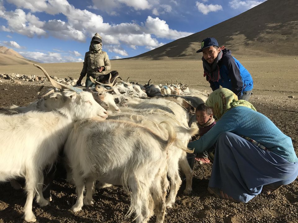 Photo of The Hidden Gems of Ladakh (Jangthang: The Northern Plains) by Lost
