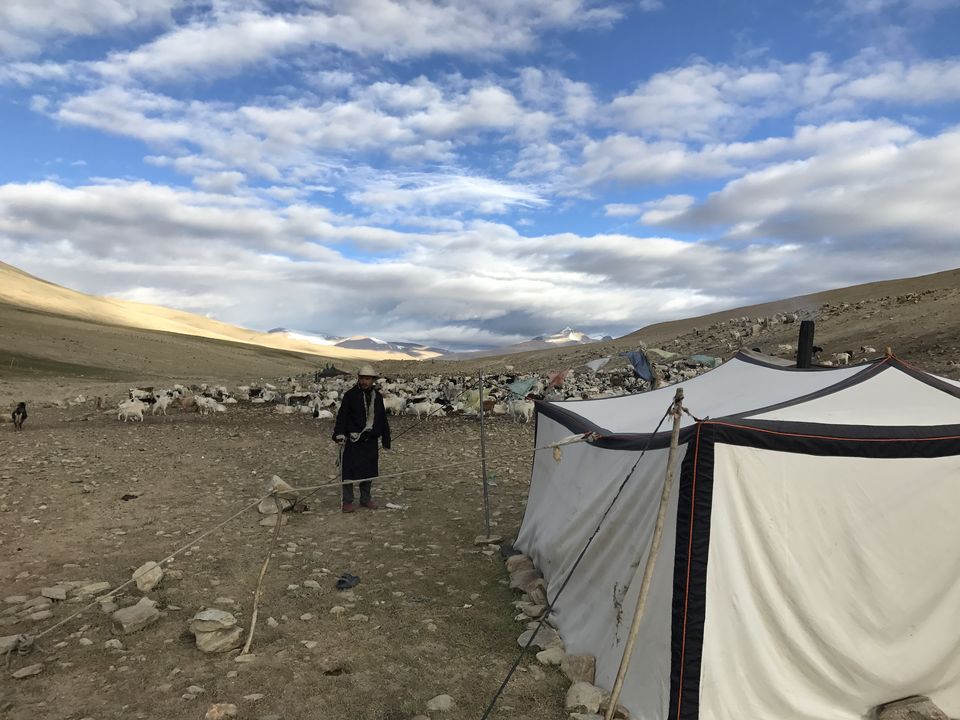 Photo of The Hidden Gems of Ladakh (Jangthang: The Northern Plains) by Lost