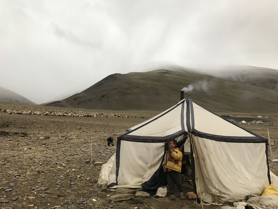 Photo of The Hidden Gems of Ladakh (Jangthang: The Northern Plains) by Lost