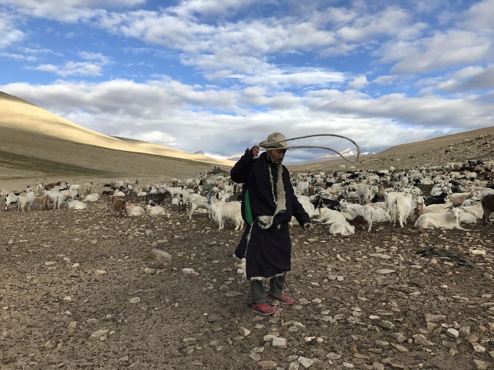 Photo of The Hidden Gems of Ladakh (Jangthang: The Northern Plains) by Lost