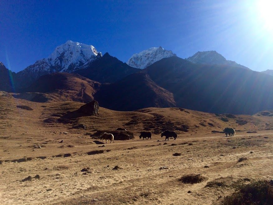 Photo of Trekking Gokyo Peak, Nepal 3/6 by Lost