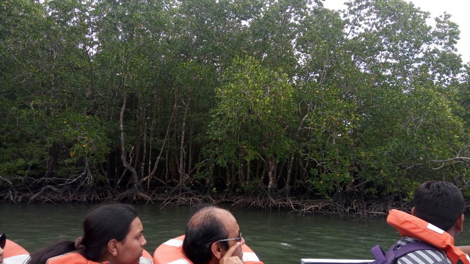 Photo of Baratang, Andaman and Nicobar Islands by neha singh Bhadauria