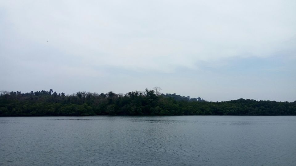 Photo of Baratang, Andaman and Nicobar Islands by neha singh Bhadauria