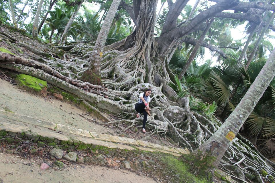 Photo of Port Blair, Andaman and Nicobar Islands, India by neha singh Bhadauria