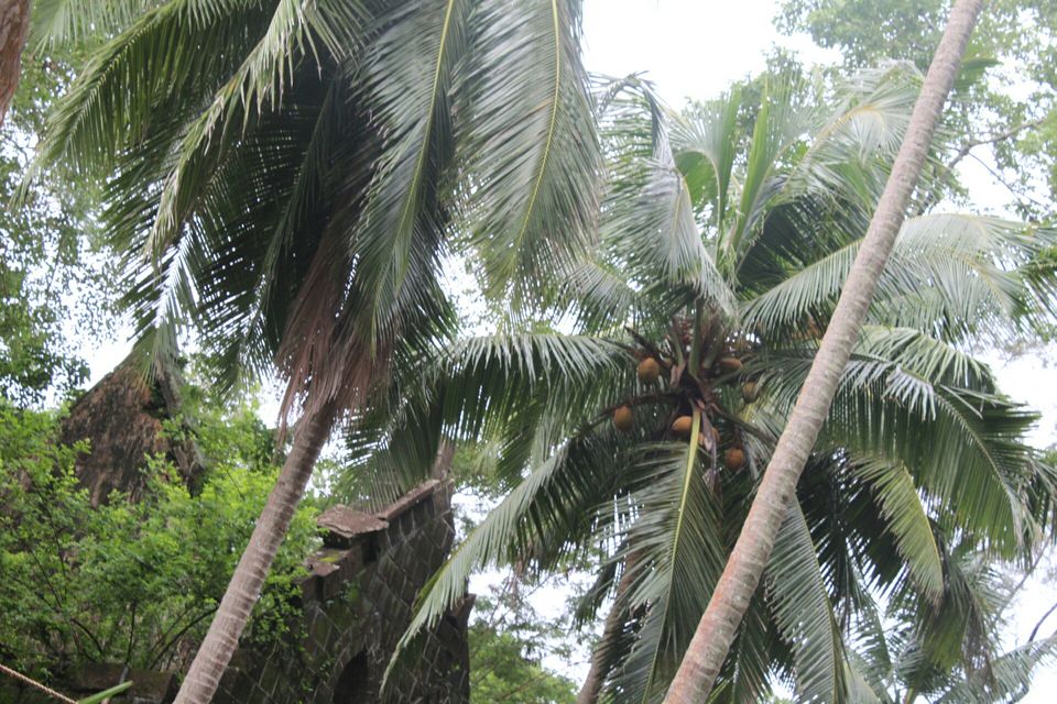 Photo of Port Blair, Andaman and Nicobar Islands, India by neha singh Bhadauria