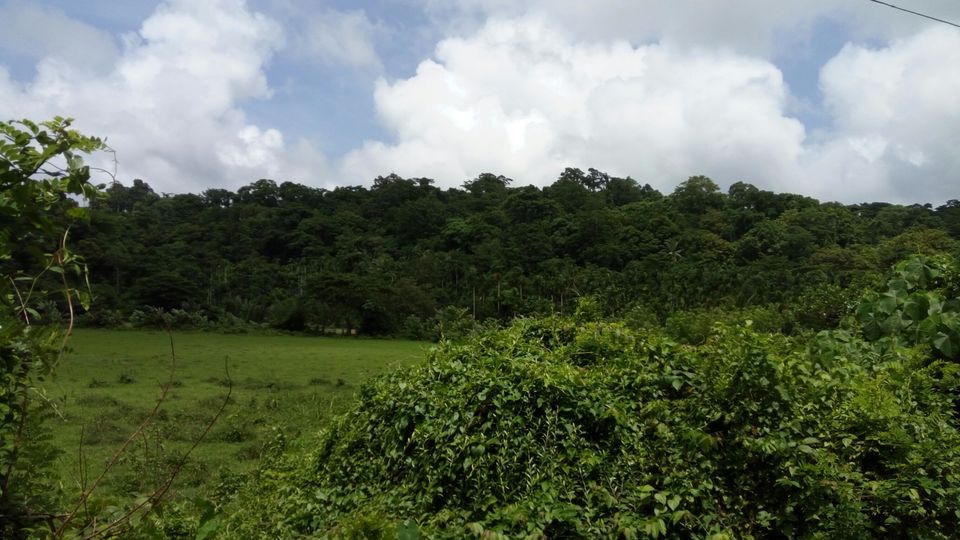 Photo of Port Blair, Andaman and Nicobar Islands, India by neha singh Bhadauria