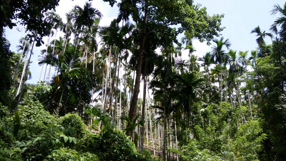 Photo of Port Blair, Andaman and Nicobar Islands, India by neha singh Bhadauria
