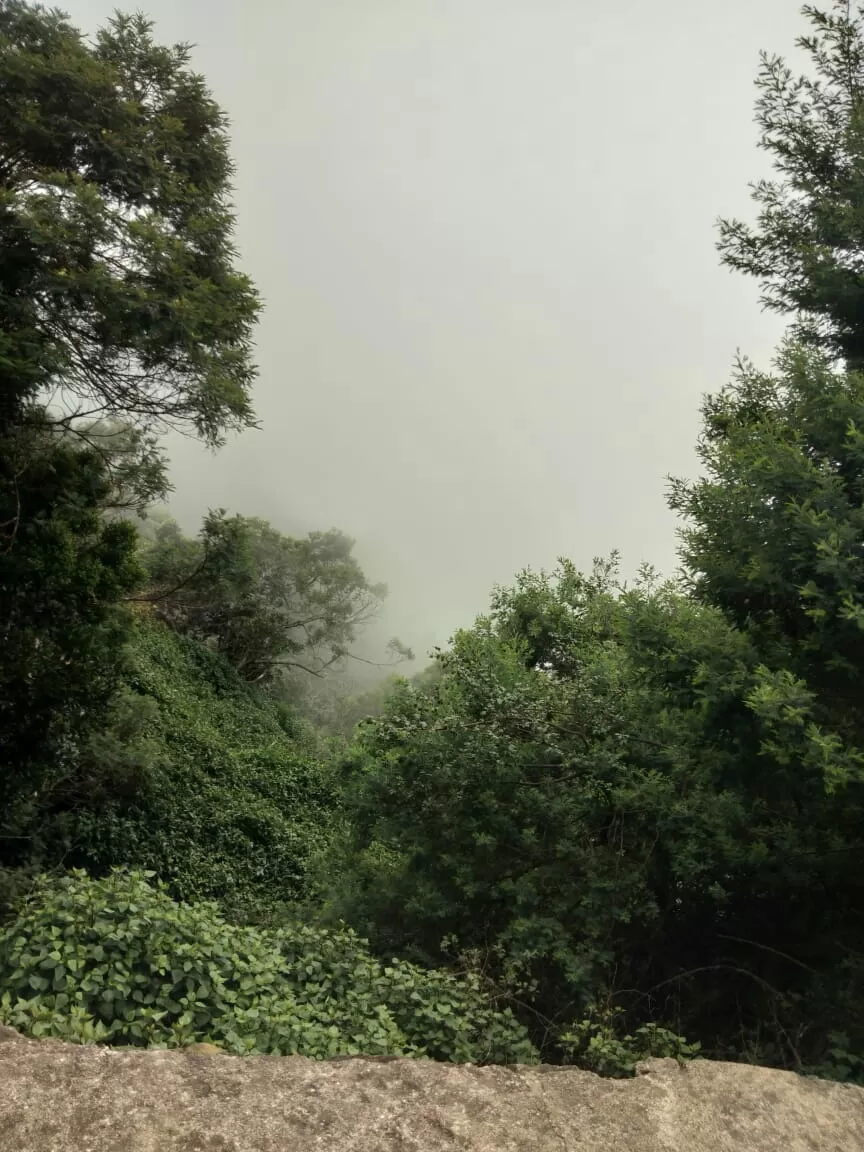 Photo of Kodaikanal, Tamil Nadu, India by neha singh Bhadauria