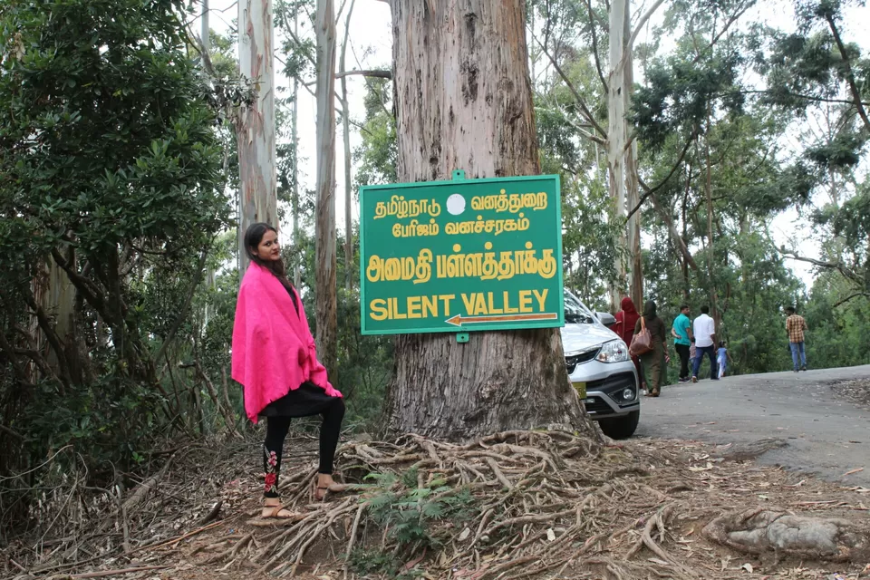 Photo of Kodaikanal, Tamil Nadu, India by neha singh Bhadauria