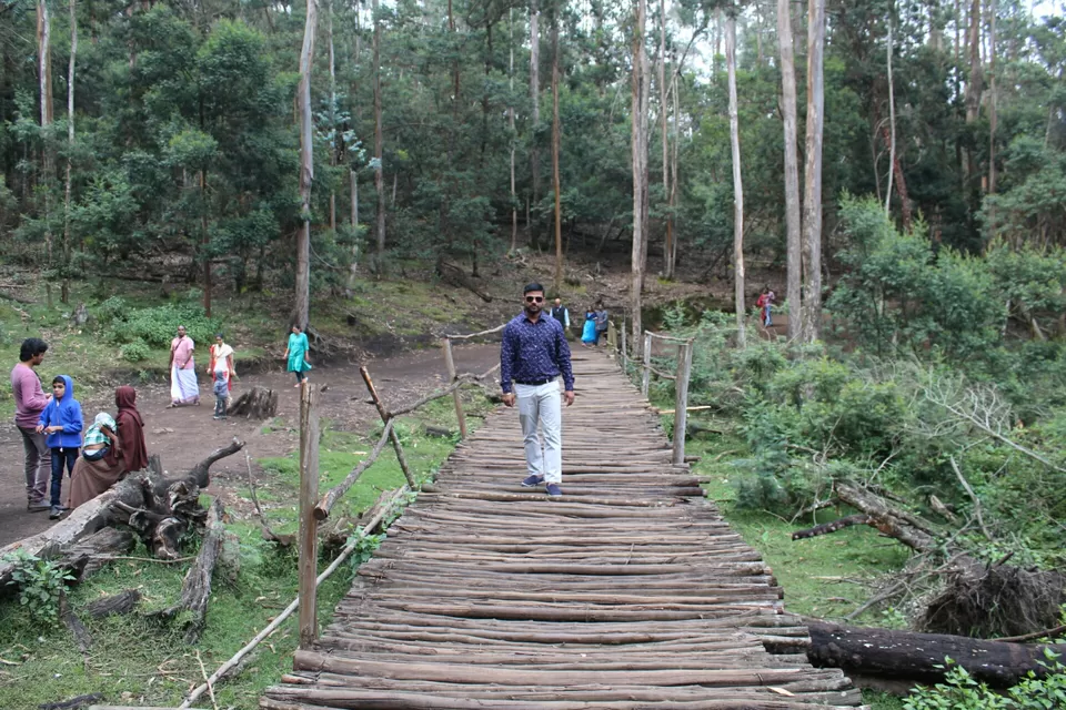 Photo of Kodaikanal, Tamil Nadu, India by neha singh Bhadauria