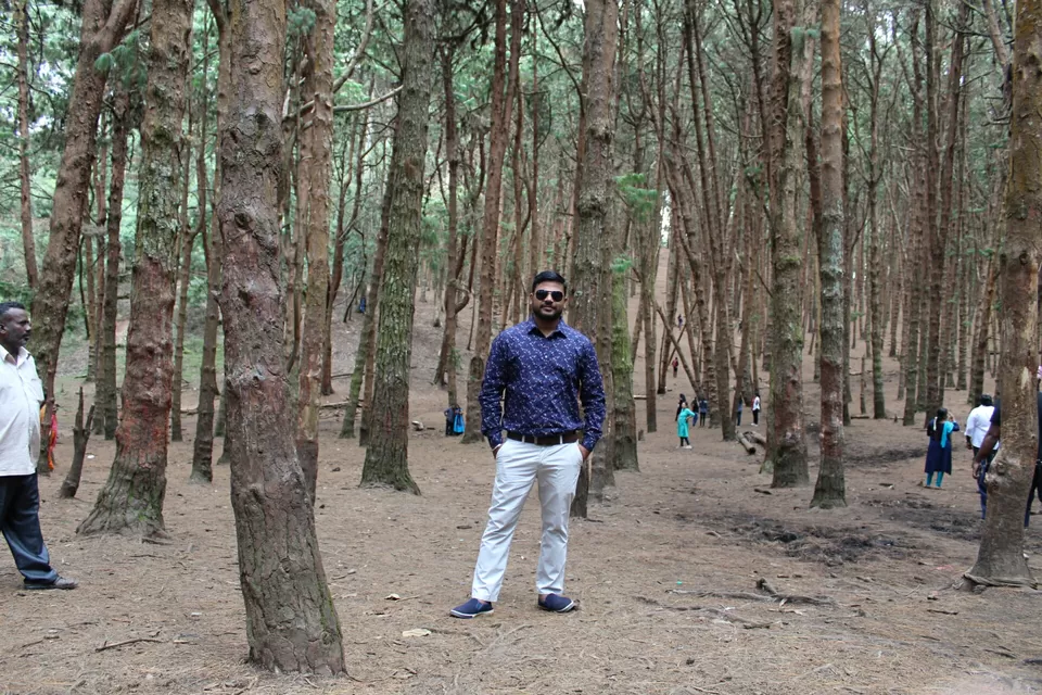 Photo of Kodaikanal, Tamil Nadu, India by neha singh Bhadauria