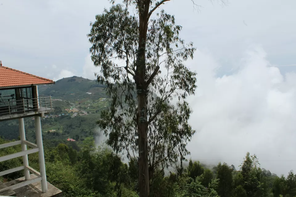 Photo of Kodaikanal, Tamil Nadu, India by neha singh Bhadauria