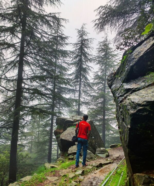 Photo of "Trek To Triund"- heavens on earth by sourabh verma