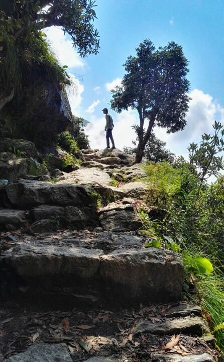Photo of "Trek To Triund"- heavens on earth by sourabh verma