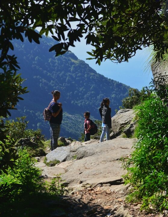 Photo of "Trek To Triund"- heavens on earth by sourabh verma