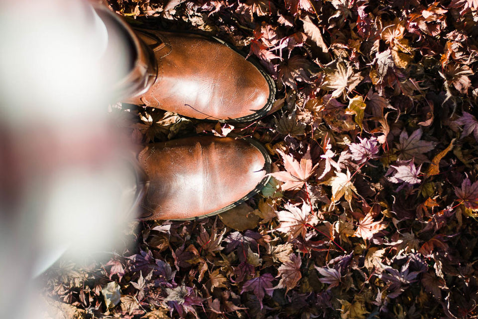 Photo of Autumn 2014: Lake Miyagase 3/9 by Ada Wilkinson