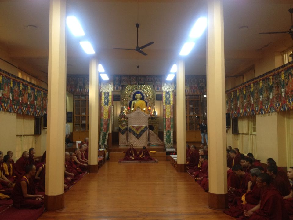 Photo of Monkieland Mcleodganj – Land of momos, monks and thupkas 12/12 by Anjali Patel