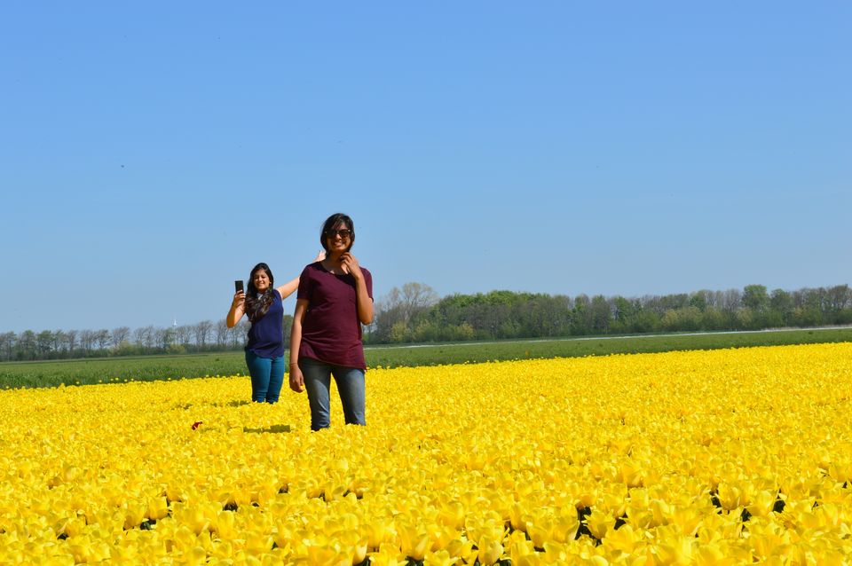 Photo of Destra-Sinistra through the North of Netherlands 1/16 by Anjali Patel