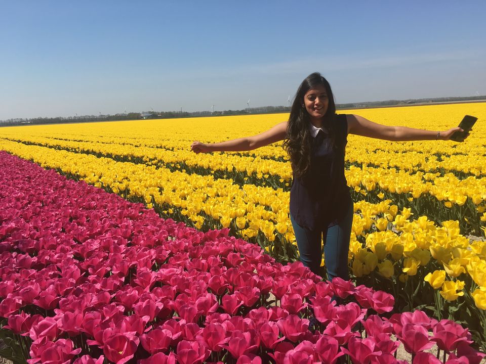 Photo of Destra-Sinistra through the North of Netherlands 8/16 by Anjali Patel