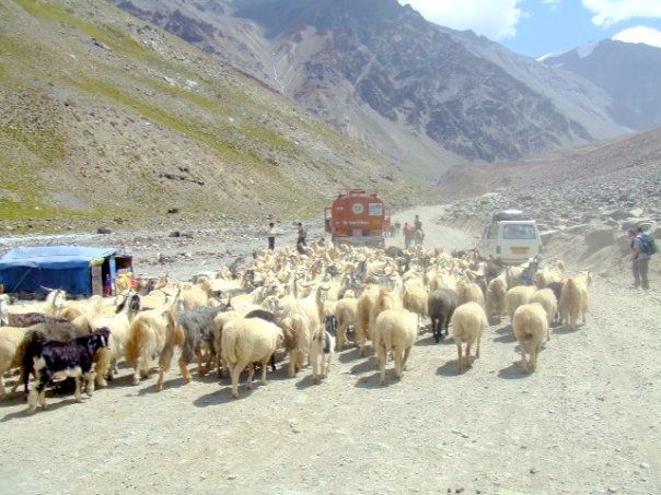 Photo of India – 5 Years On by Hannah