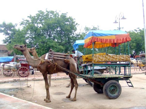 Photo of India – 5 Years On by Hannah
