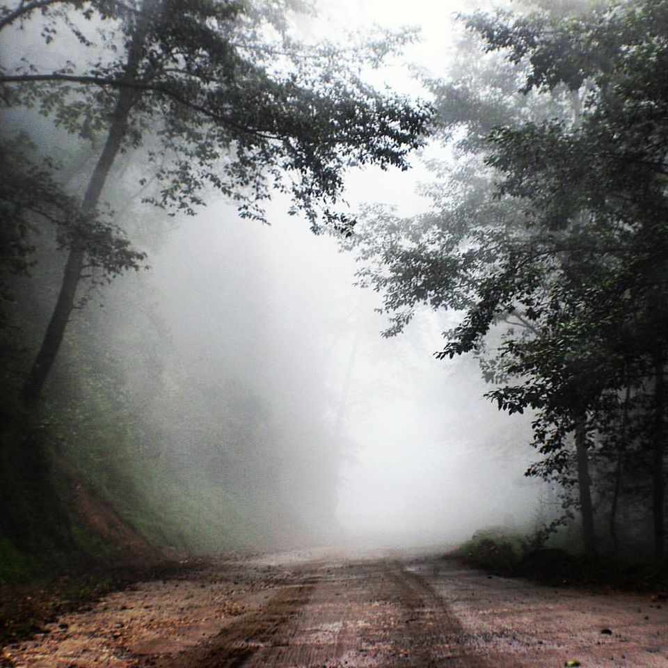Photo of Sela Pass 8/29 by AtoolFoo