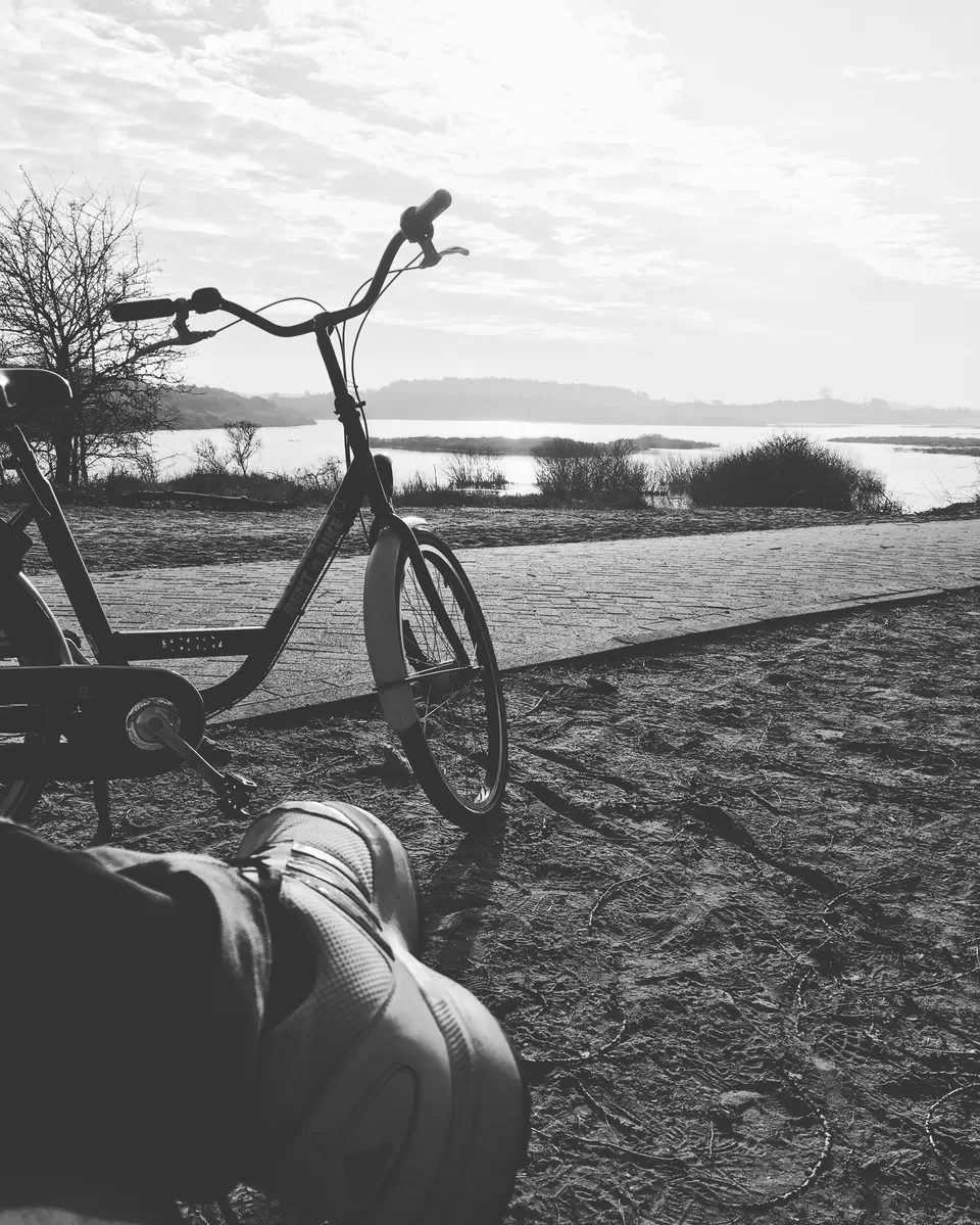 Photo of Nationaal Park Zuid-Kennemerland, Overveen, Netherlands by Spandan Pathak