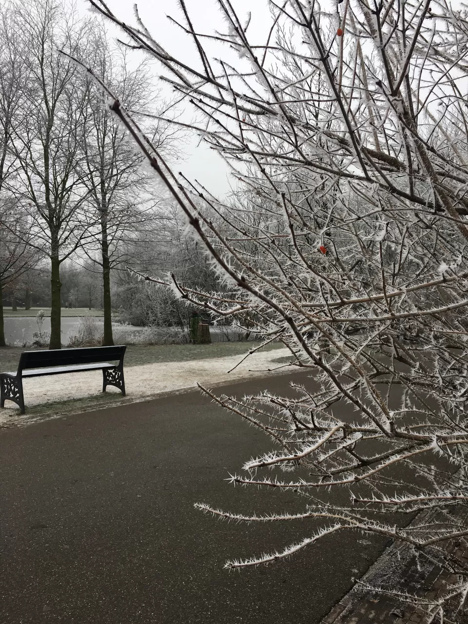 Photo of Vondelpark, Amsterdam, Netherlands by Spandan Pathak