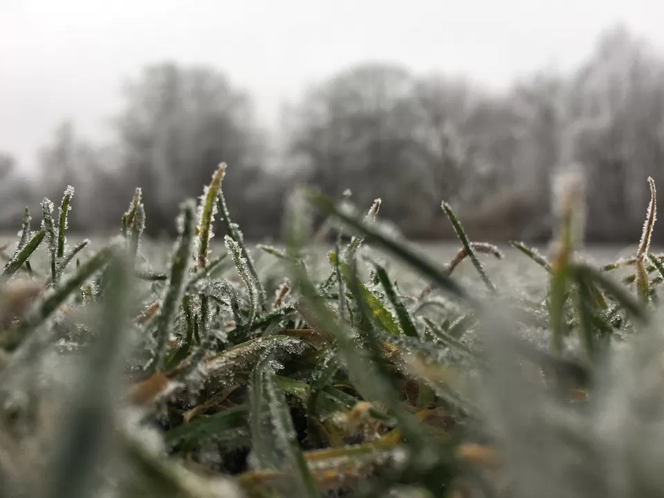 Photo of Vondelpark, Amsterdam, Netherlands by Spandan Pathak
