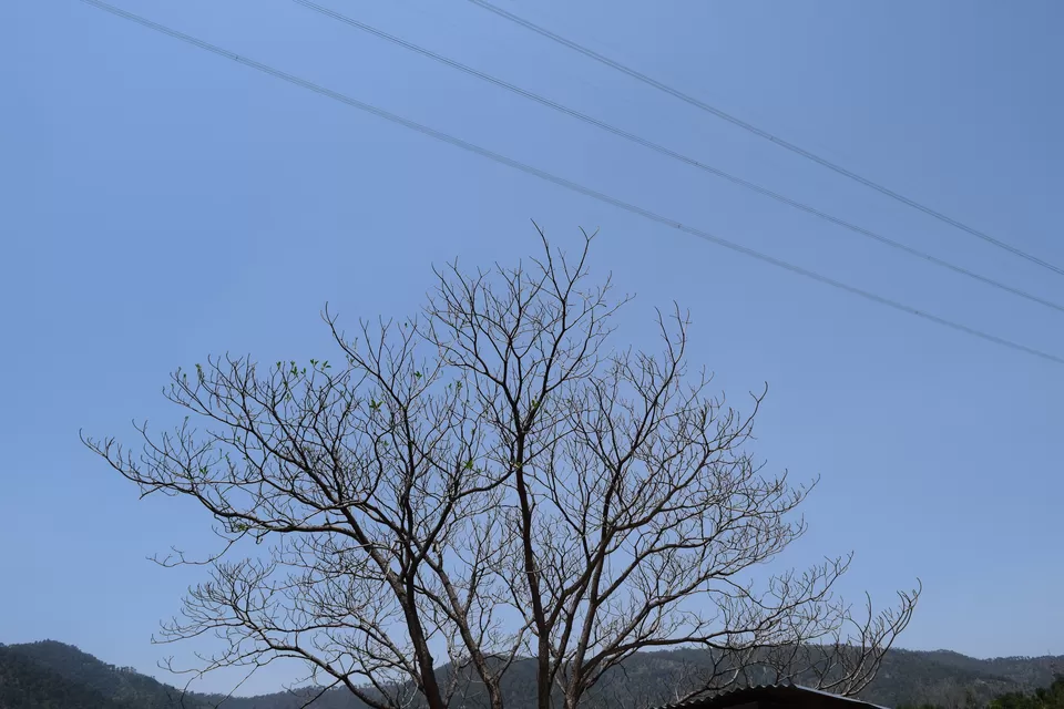 Photo of Mandi, Mandi, Himachal Pradesh, India by Peeyush Jhorar