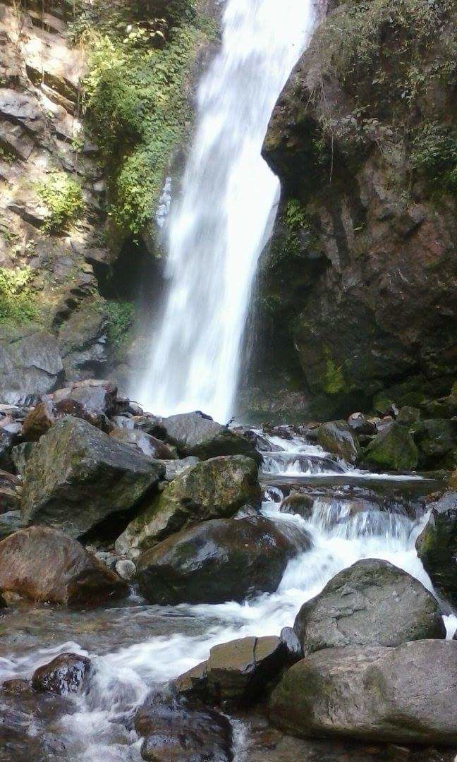 Photo of Discover Pelling 1/5 by Hopping With Shree