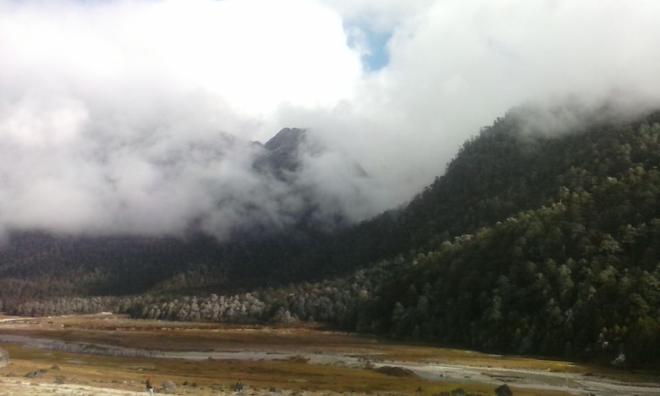 Photo of Destination: Gurudongmar lake, Yumthang valley and Zero point 8/12 by Hopping With Shree