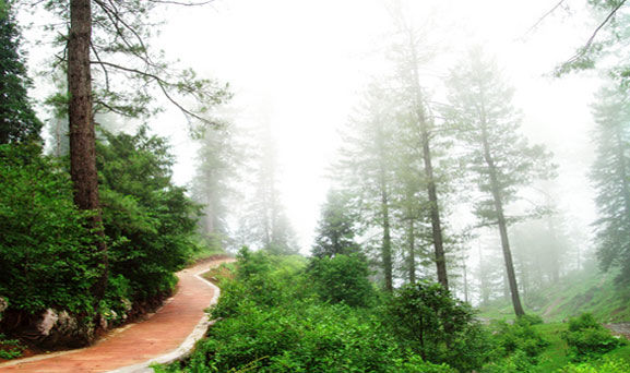 Photo of "Kashmir of Odisha" 1/3 by Hopping With Shree