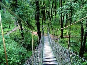 Photo of Lava Lolegaon - Destination for unwinding & relaxation in West Bengal. 1/6 by Hopping With Shree