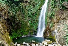 Photo of Lava Lolegaon - Destination for unwinding & relaxation in West Bengal. 6/6 by Hopping With Shree