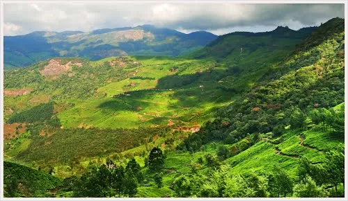Photo of Kannan Devan Hills, Kerala, India by Harini Sridharan