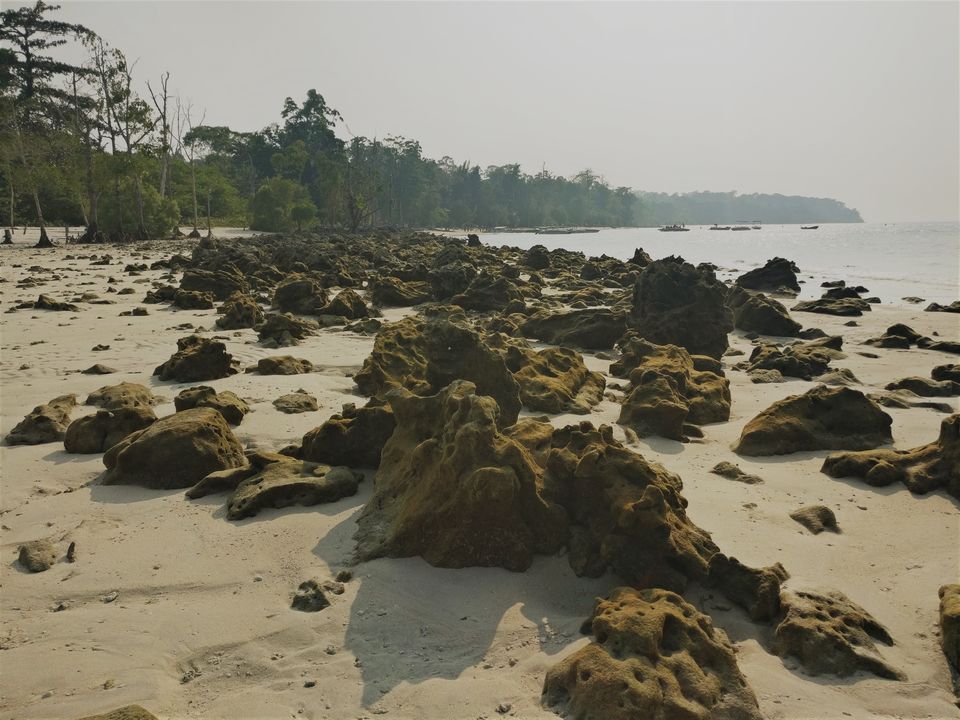 Photo of Elephant Beach, Andaman and Nicobar Islands, India by Harini Sridharan