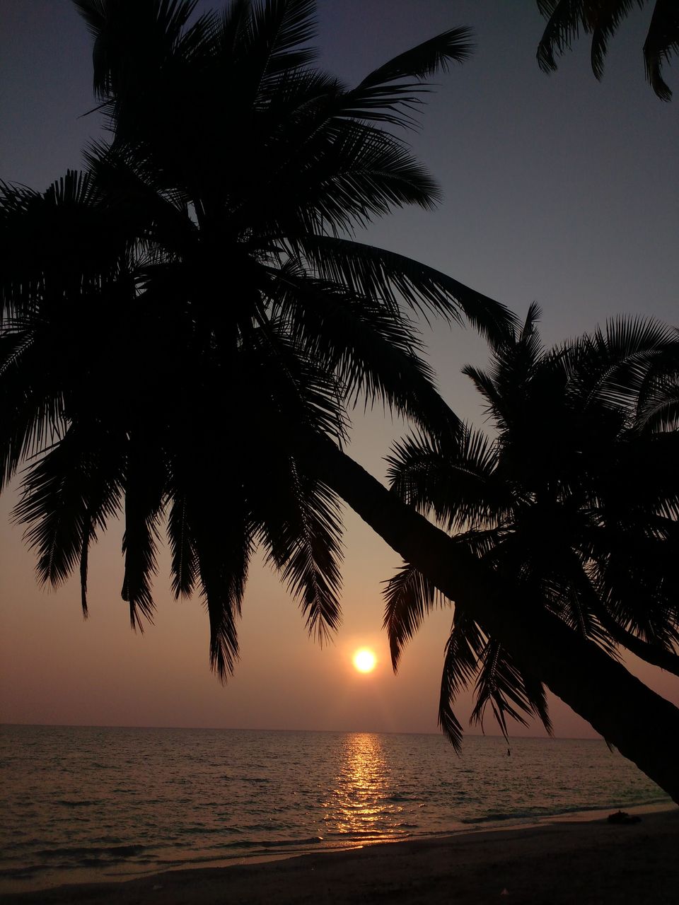 Photo of Radhanagar Beach, Andaman and Nicobar Islands by Harini Sridharan