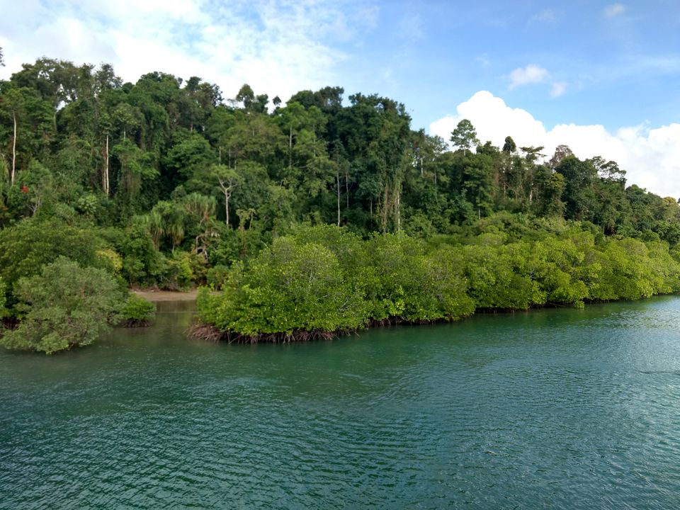 Photo of Baratang, North and Middle Andaman, Andaman and Nicobar Islands, India by Sohinee Basu