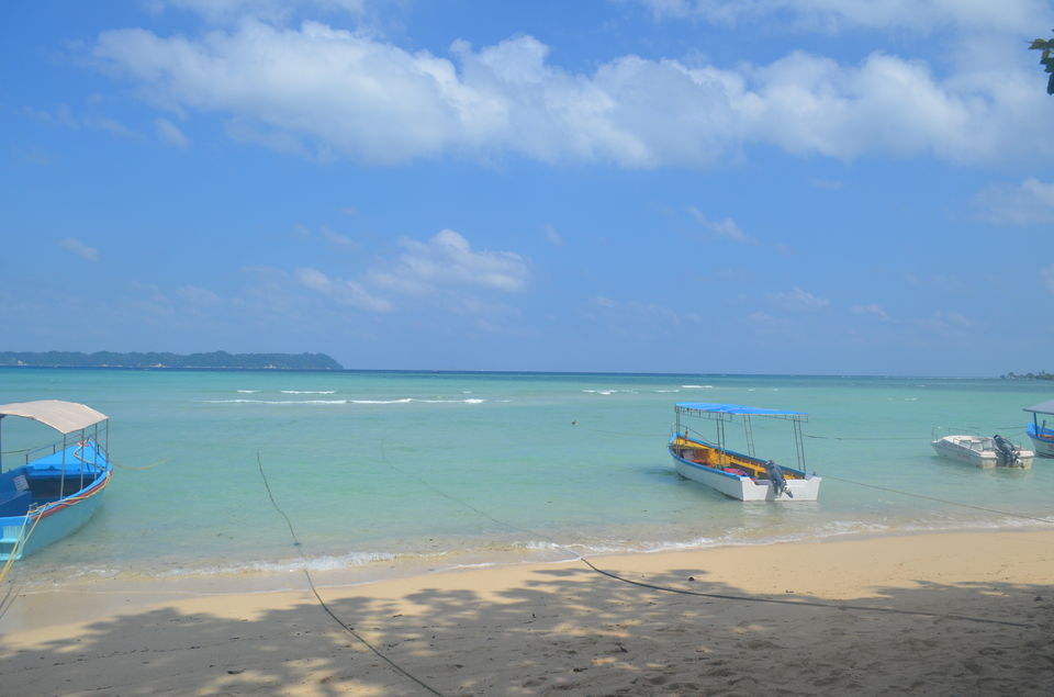 Photo of Neil Island, South Andaman, Andaman and Nicobar Islands, India by Sohinee Basu