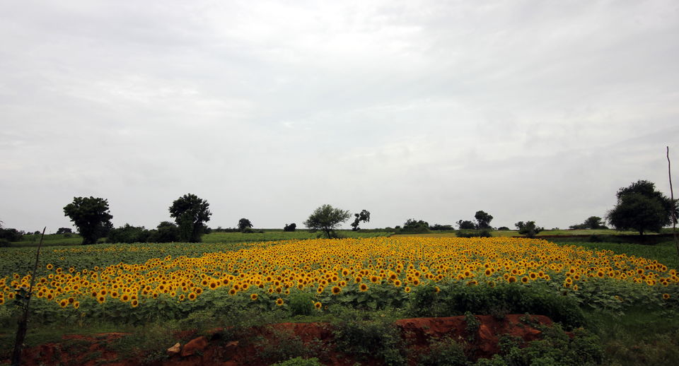 Photo of Hampi: Exceptional Venues & Unique Experiences 2/18 by Harsha Invinci Mavoori