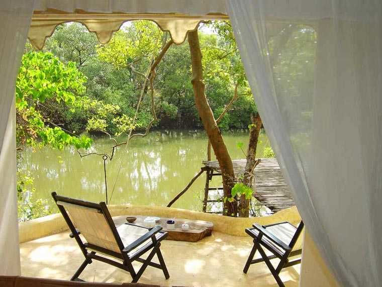 Photo of 10 Best Luxury Tours In India Will Leave You Obsessed by Disha Kapkoti