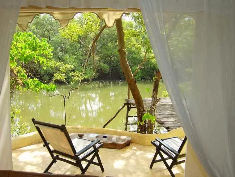Photo of 10 Best Luxury Tours In India Will Leave You Obsessed by Disha Kapkoti
