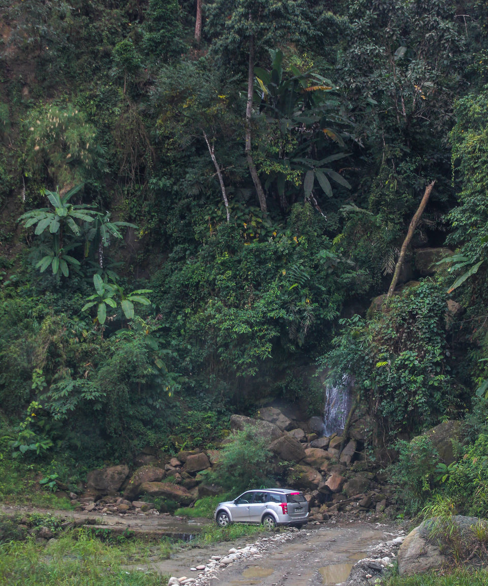 Photo of Namdapha National Park, Changlang, Arunachal Pradesh, India by Bappaditya Bhattacharya