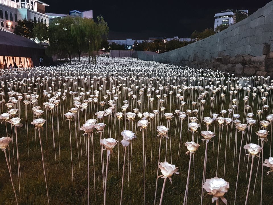 Photo of Dongdaemun Design Plaza 東大門設計廣場, Eulji-ro, Euljiro 7(chil)-ga, Jung-gu, Seoul, South Korea by Sreshti Verma