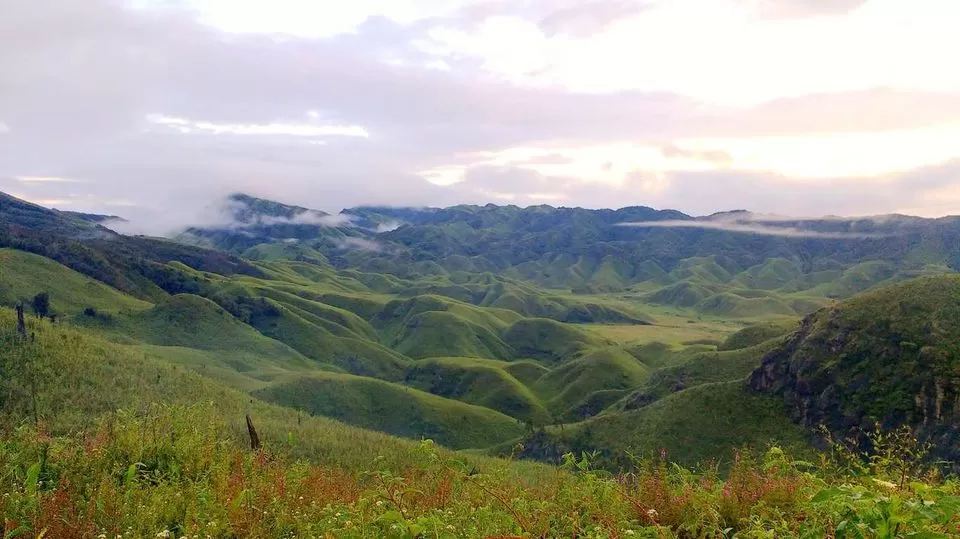 Photo of Dzükou Valley, Viswema, Nagaland, India by Sreshti Verma
