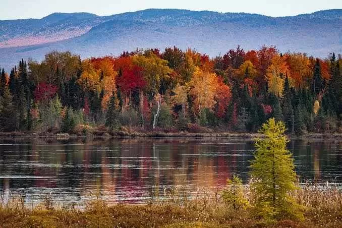 Photo of Pondicherry, Puducherry, India by Smita Yadav