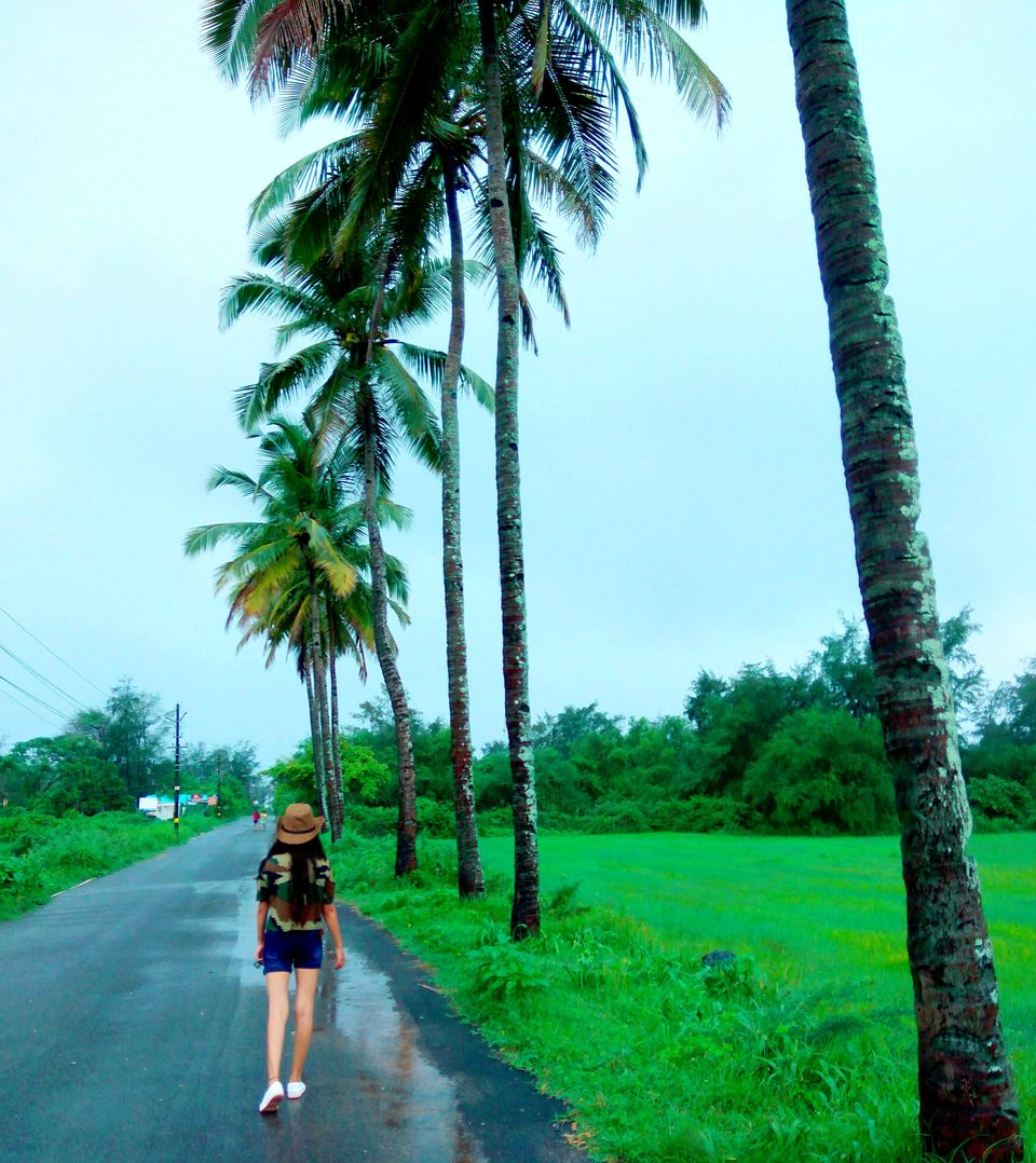 Photo of Goa, the Most cancelled plan of the Era finally got successful 10/13 by Upasana Mishra